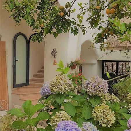 Sorrento Studios Lemons Hill Dış mekan fotoğraf