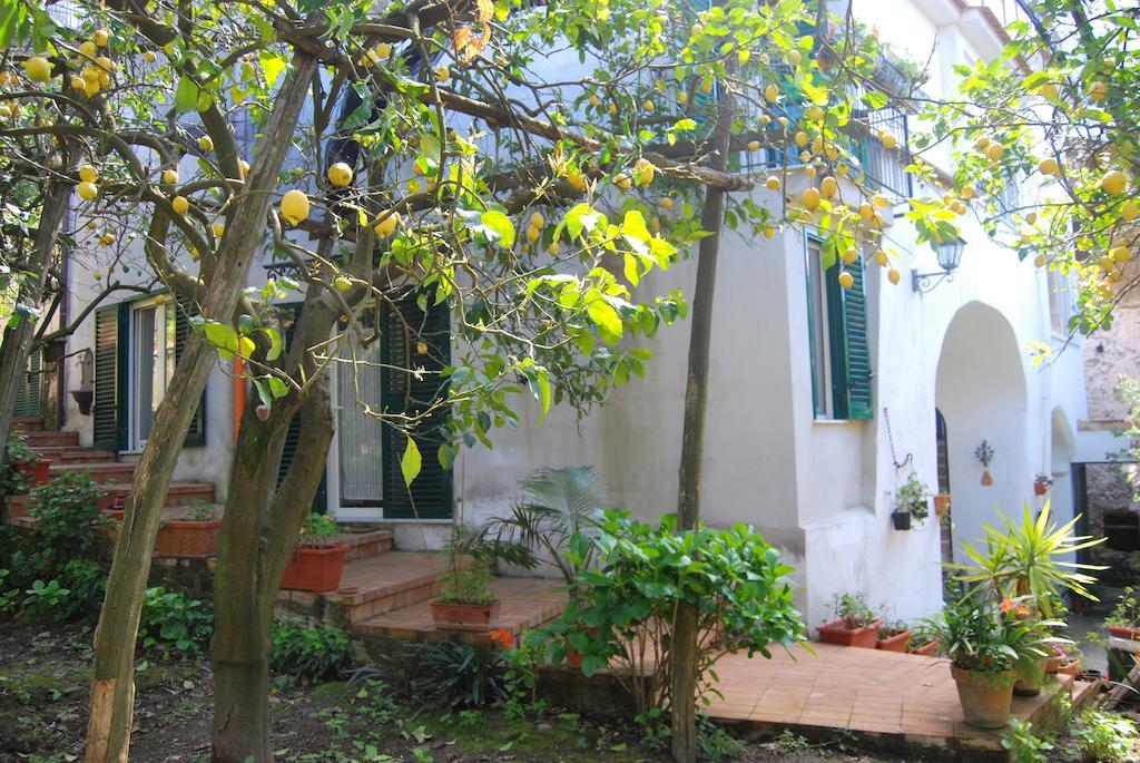 Sorrento Studios Lemons Hill Oda fotoğraf