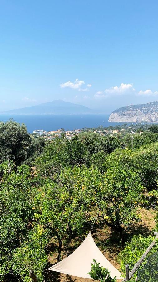 Sorrento Studios Lemons Hill Dış mekan fotoğraf