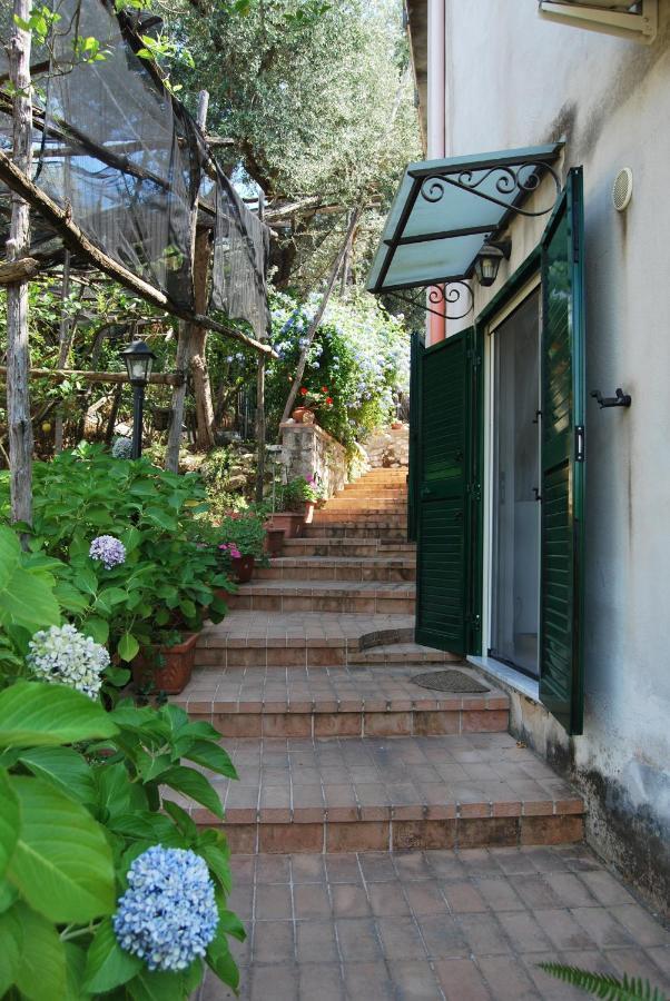 Sorrento Studios Lemons Hill Dış mekan fotoğraf